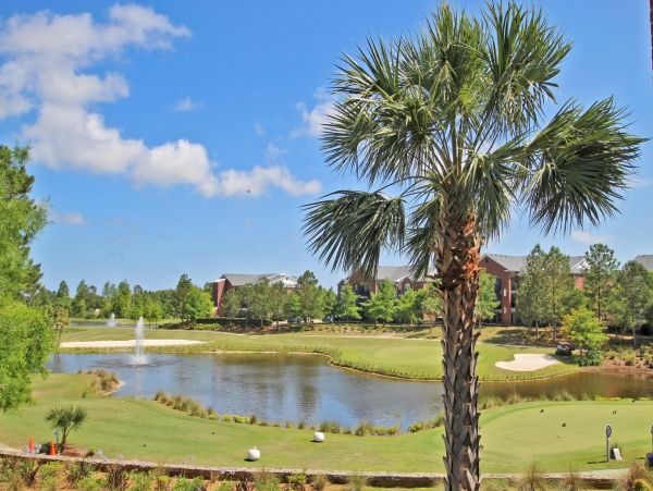 Alabama Beach Areas Condo 992665