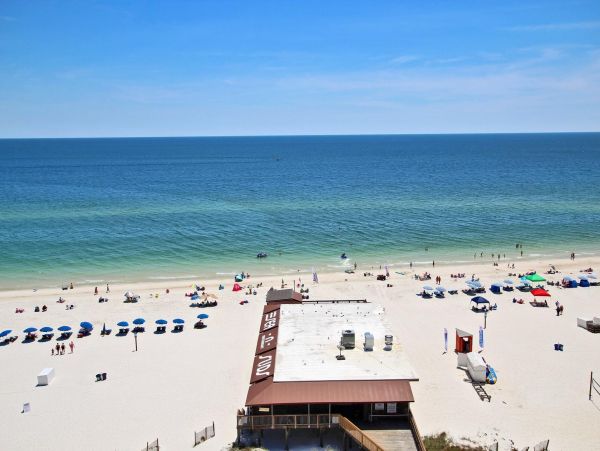 Alabama Beach Areas Condo 992666