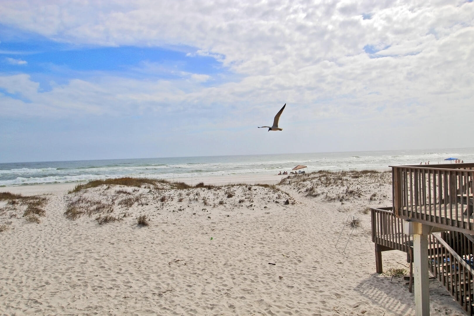 Alabama Beach Areas Home 992667
