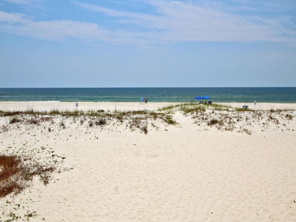 Alabama Beach Areas Home 992667