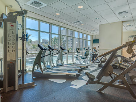 Alabama Beach Areas Condo 992668