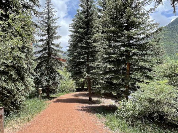 Sleek Telluride Four Bedroom Rental Home Walk To Ski Lifts