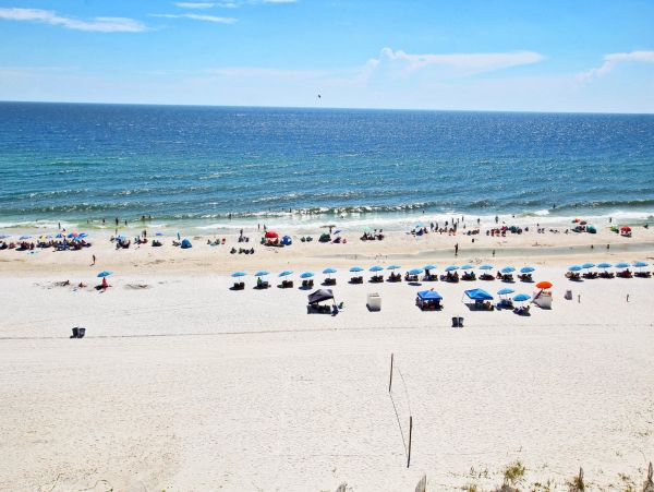 Alabama Beach Areas Condo 992673