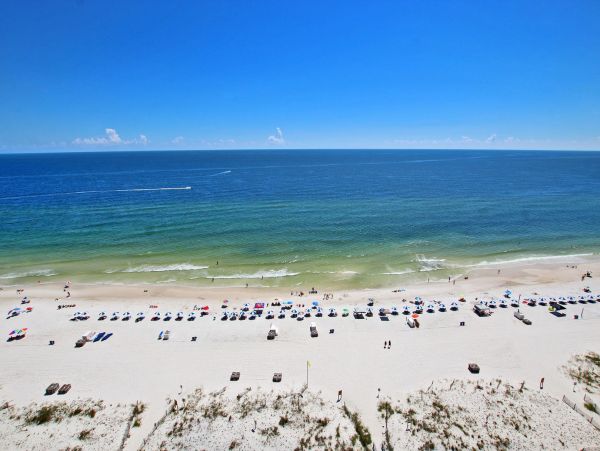Alabama Beach Areas Condo 992678