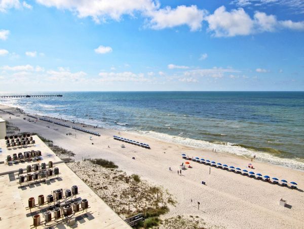 Alabama Beach Areas Condo 992679