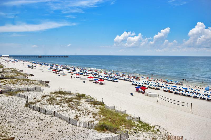 Alabama Beach Areas Condo 992681