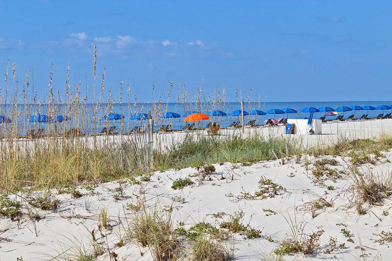Alabama Beach Areas Condo 992681