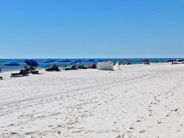 Alabama Beach Areas Condo 992684
