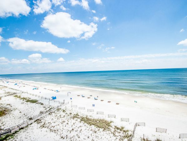 Alabama Beach Areas Condo 992685