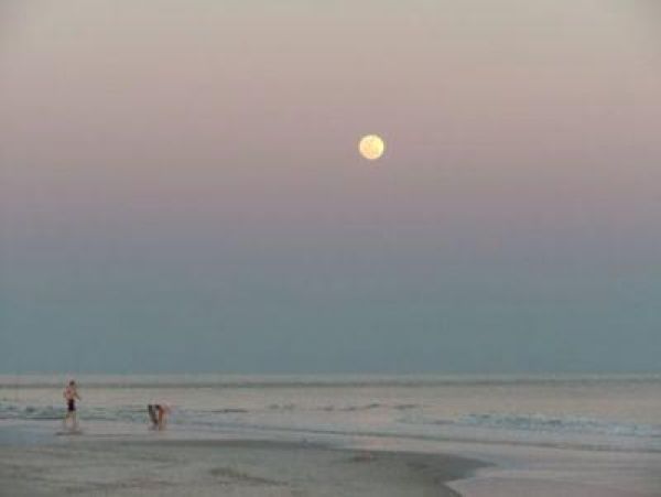 Alabama Beach Areas Condo 992685