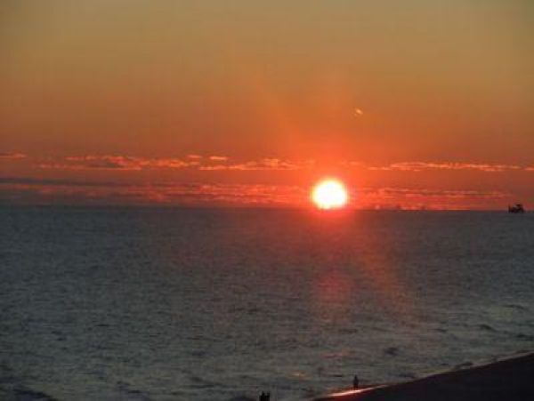 Alabama Beach Areas Condo 992685