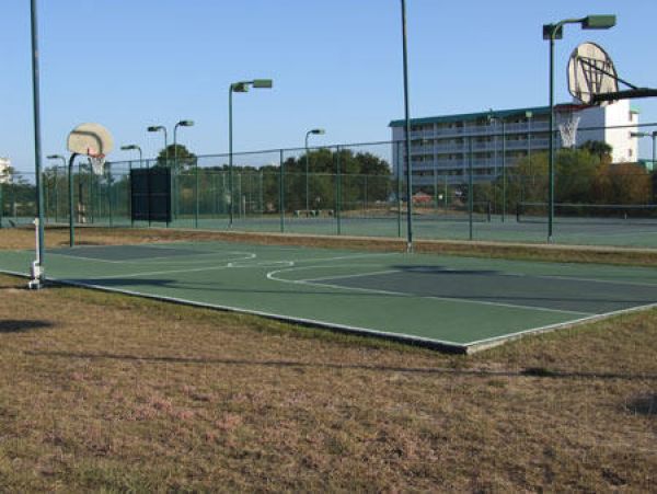 Alabama Beach Areas Condo 992692