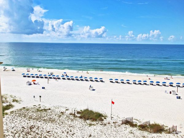 Alabama Beach Areas Condo 992699