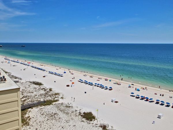 Alabama Beach Areas Condo 992702