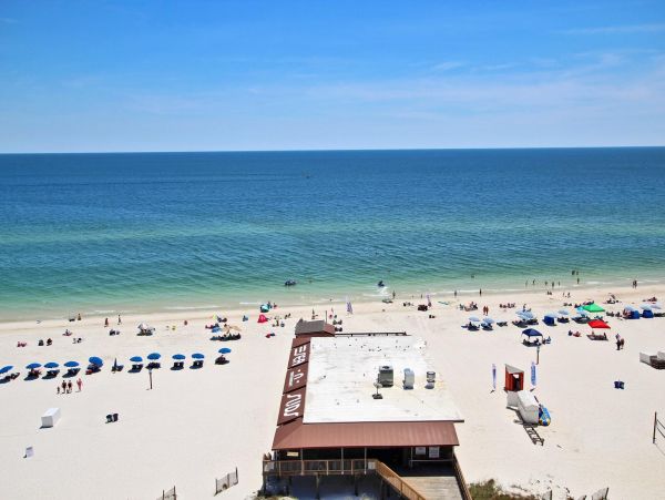 Alabama Beach Areas Condo 992702
