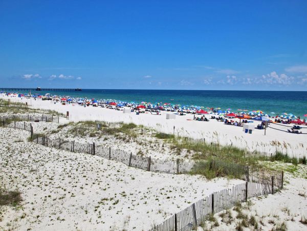 Alabama Beach Areas Condo 992703