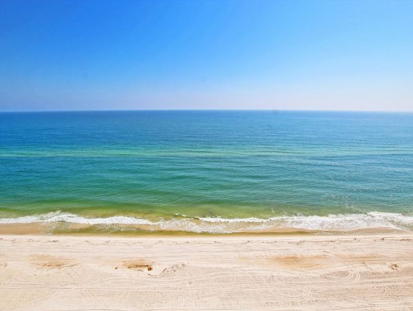 Alabama Beach Areas Condo 992704