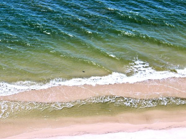 Alabama Beach Areas Condo 992705