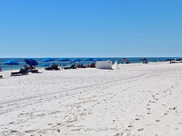 Alabama Beach Areas Condo 992710