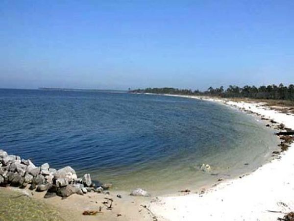 Alabama Beach Areas Condo 992712