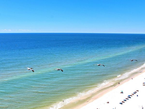 Alabama Beach Areas Condo 992715