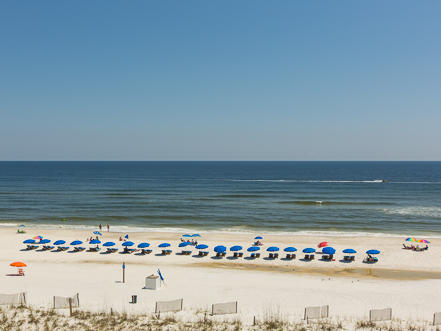 Alabama Beach Areas Condo 992721