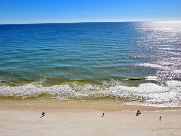 Alabama Beach Areas Condo 992726