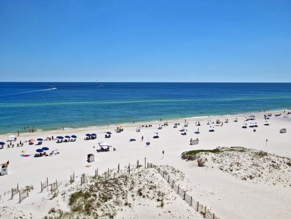 Alabama Beach Areas Condo 992728