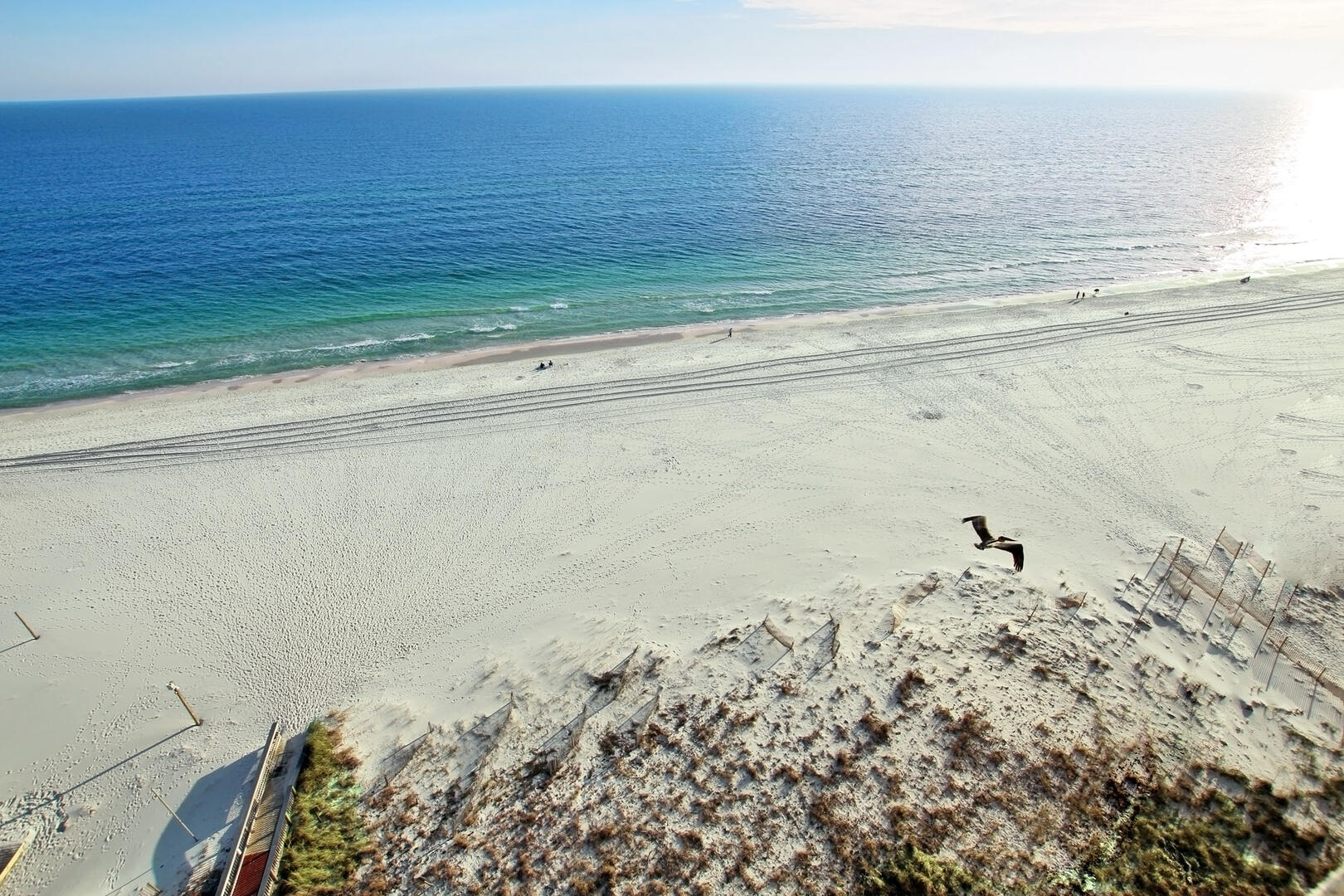 Alabama Beach Areas Condo 992733