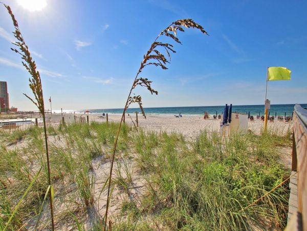 Alabama Beach Areas Condo 992735