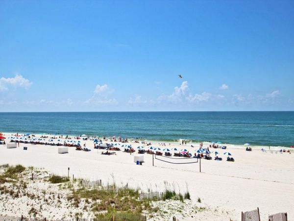 Alabama Beach Areas Condo 992736