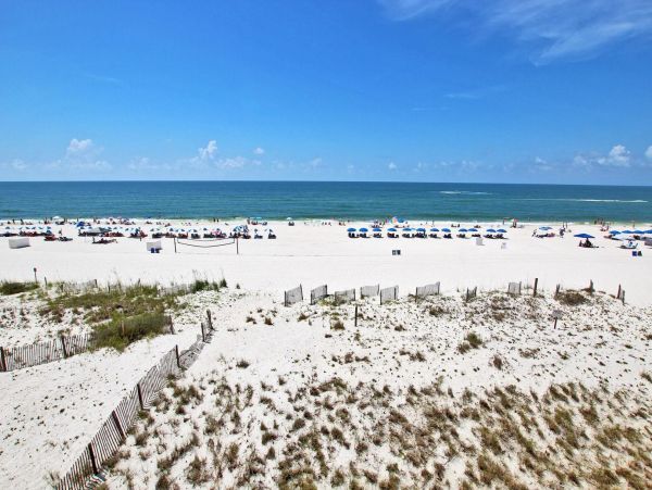 Alabama Beach Areas Condo 992736