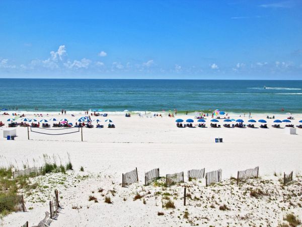 Alabama Beach Areas Condo 992736