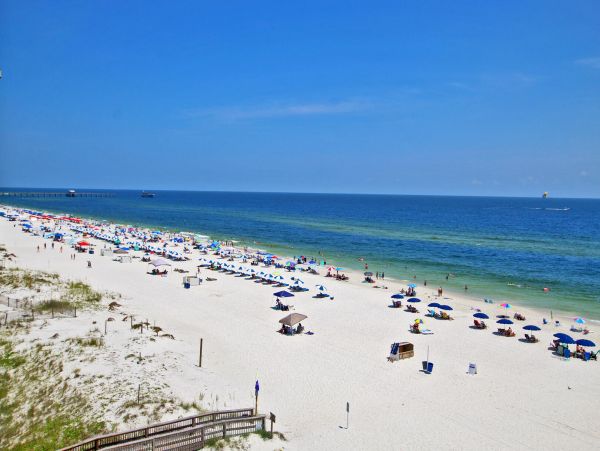 Alabama Beach Areas Condo 992742