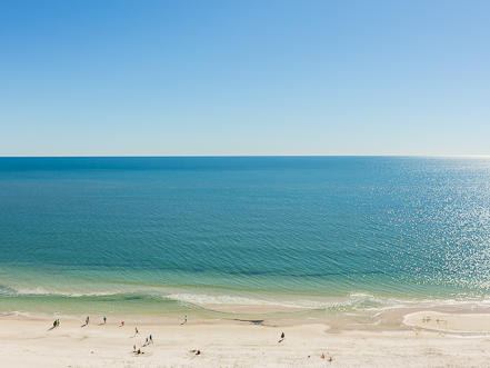 Alabama Beach Areas Condo 992743