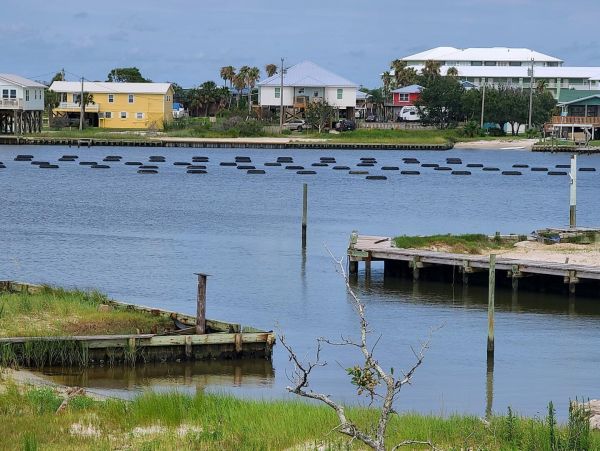 Alabama Beach Areas Home 992747