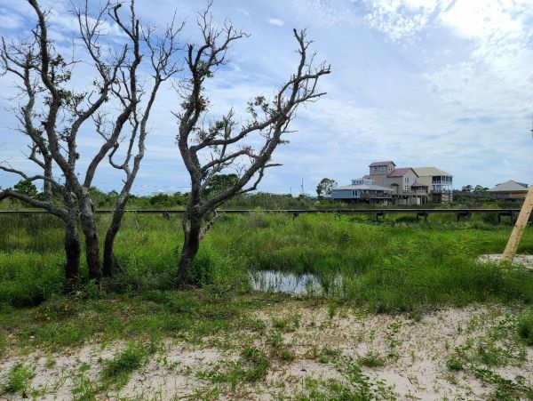 Alabama Beach Areas Home 992747