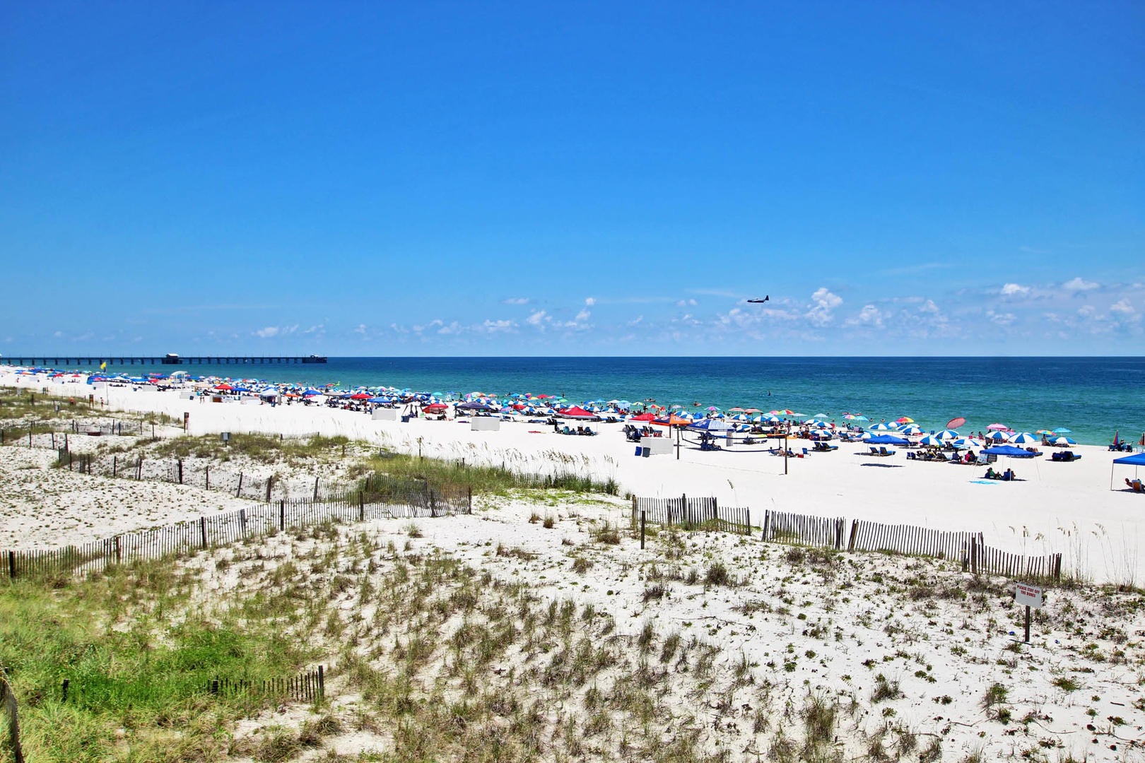 Alabama Beach Areas Condo 992750