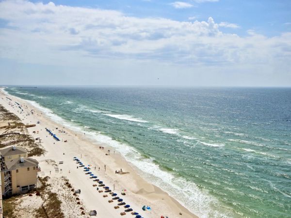 Alabama Beach Areas Condo 992753