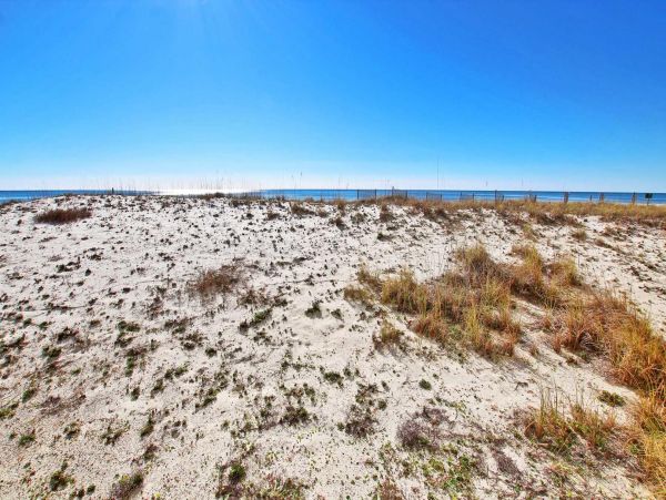 Alabama Beach Areas Condo 992755