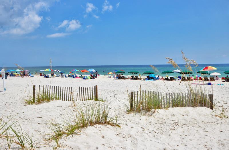 Alabama Beach Areas Condo 992755
