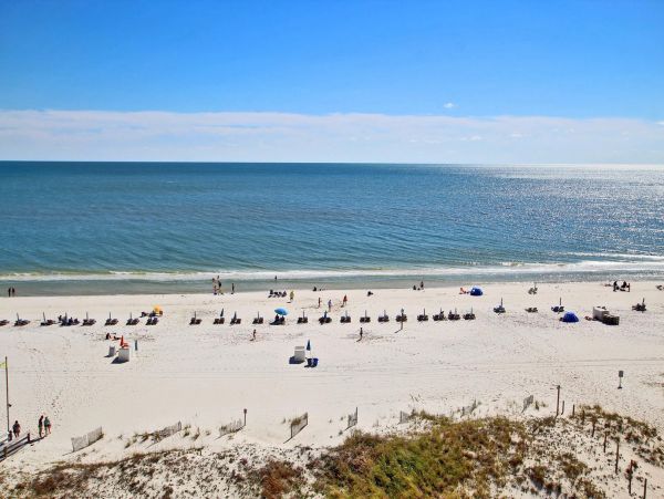 Alabama Beach Areas Condo 992757