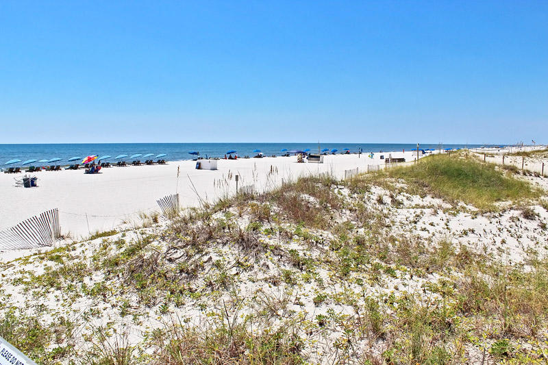 Alabama Beach Areas Condo 992757