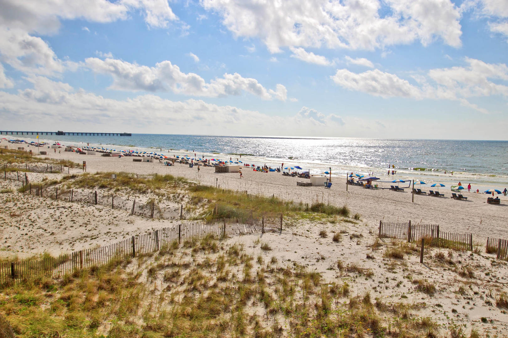 Alabama Beach Areas Condo 992758