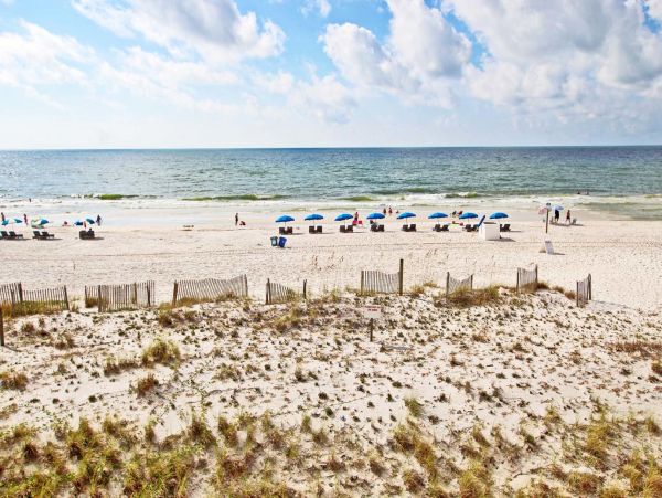 Alabama Beach Areas Condo 992758