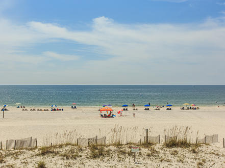 Alabama Beach Areas Condo 992758
