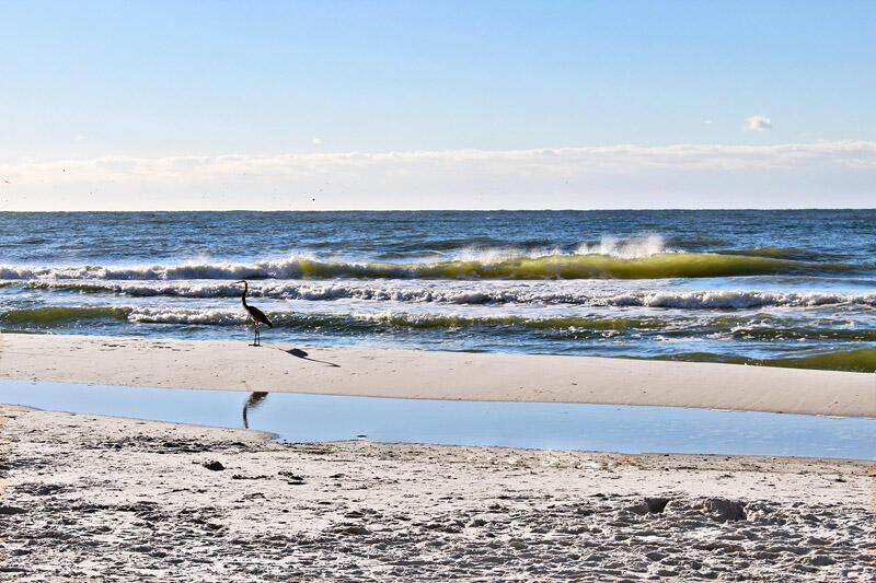 Alabama Beach Areas Condo 992770