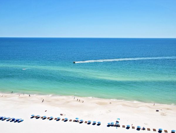 Alabama Beach Areas Condo 992771