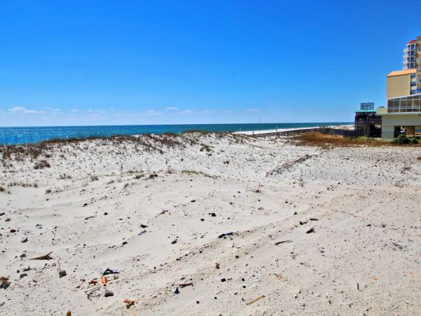 Alabama Beach Areas Home 992773