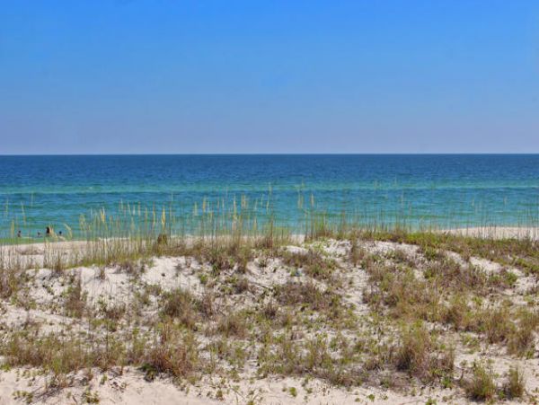 Alabama Beach Areas Home 992774